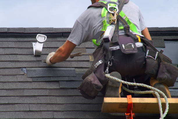 Best Roof Moss and Algae Removal  in Roseville, OH