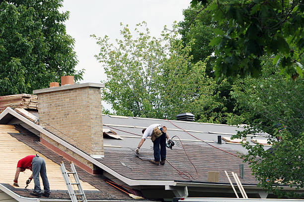 Best Emergency Roof Repair Services  in Roseville, OH